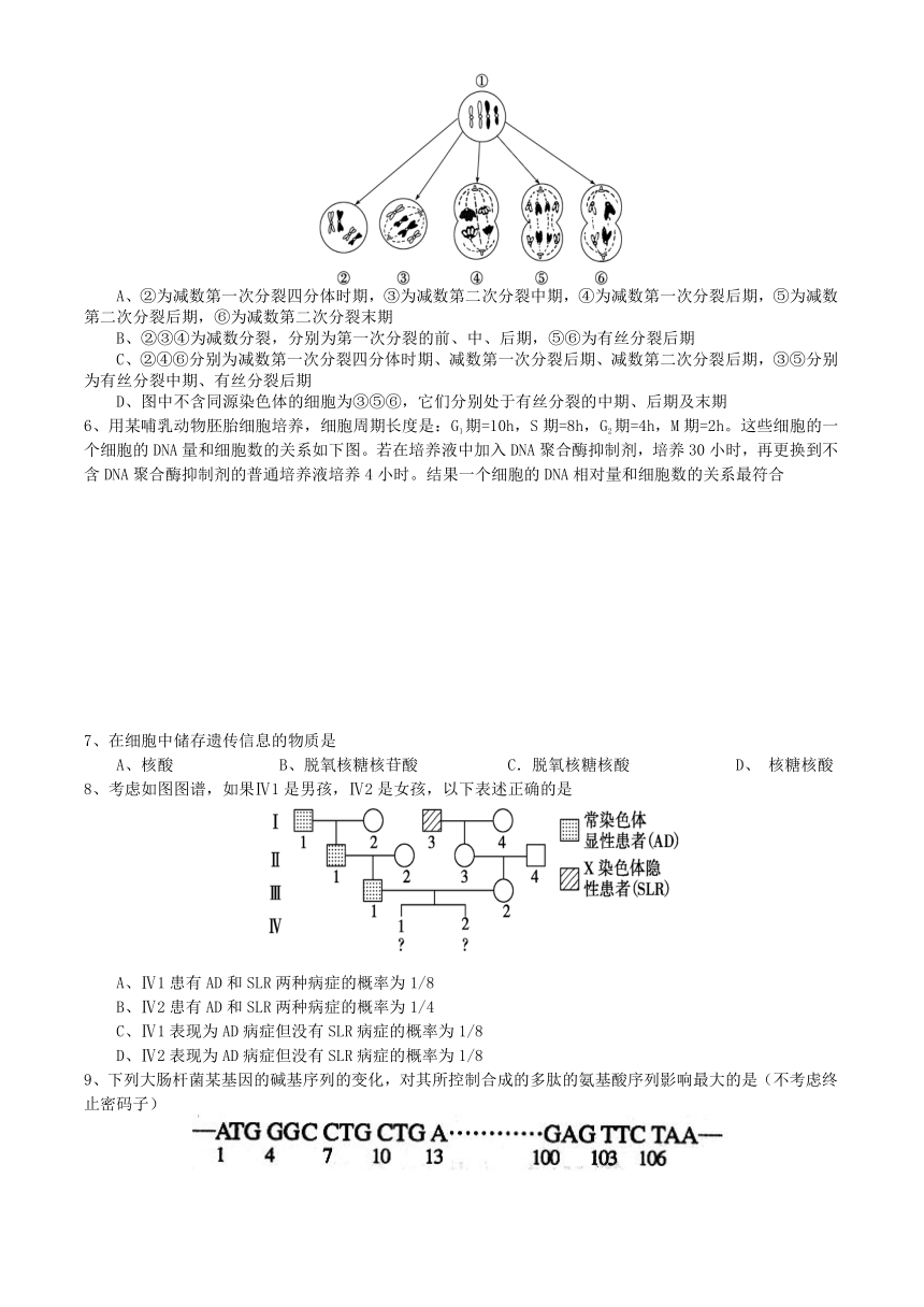 高三生物自主作业四