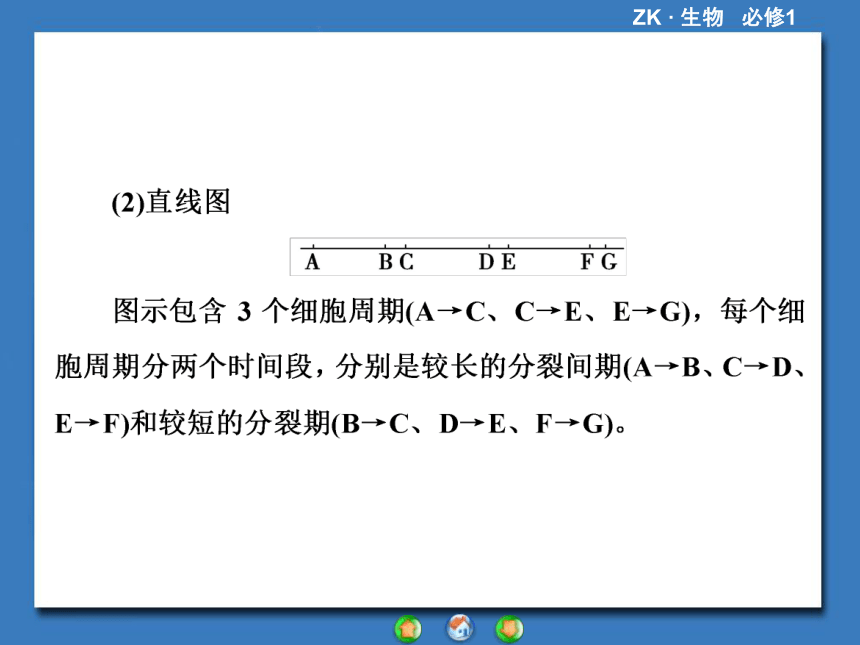 【课堂新坐标，同步备课参考】2013-2014学年高中生物（浙科版）必修1课件：章末归纳提升4第4章 细胞的增殖与分化（共44张PPT）