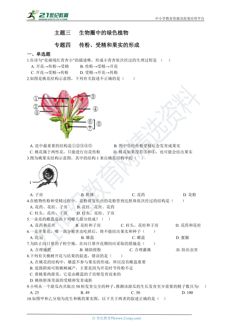 生物中考二轮复习 主题三 生物圈中的绿色植物 专题四 传粉、受精和果实的形成（含解析）