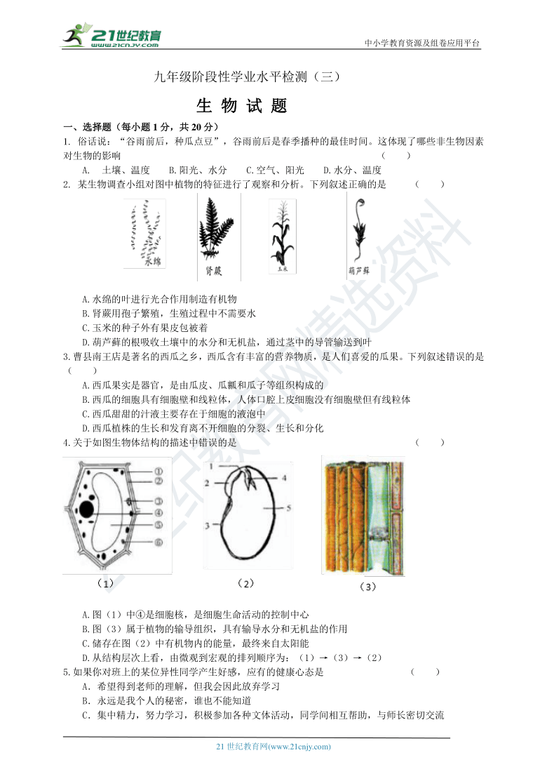 2021年菏泽牡丹区三模（含答案）