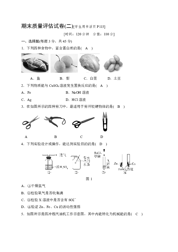 华师大版九年级科学上册 期末质量评估试卷(二)（含答案）