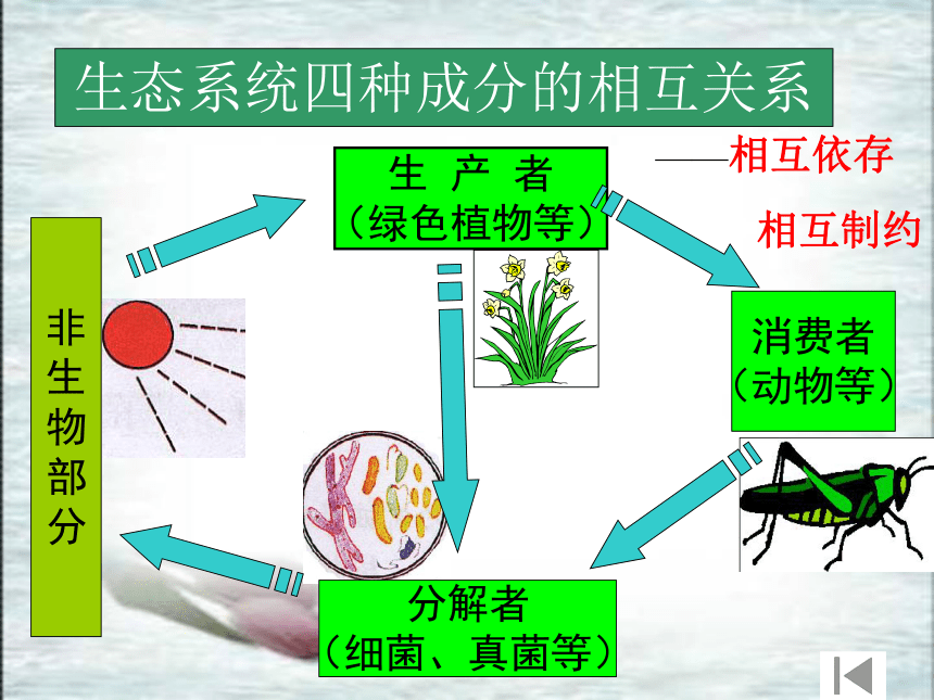 第一單元 生物和生物圈 第二章 瞭解生物圈 第二節 生物與環境組成