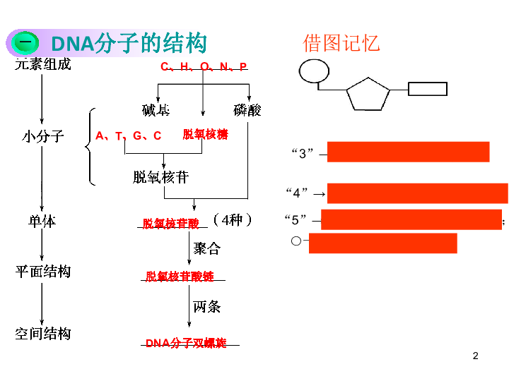 人教版高一生物必修二第三章第四节 基因是有遗传效应的DNA片段 （共32张PPT）