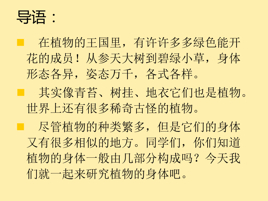 科学四年级上青岛版3.8植物的身体课件（31张）