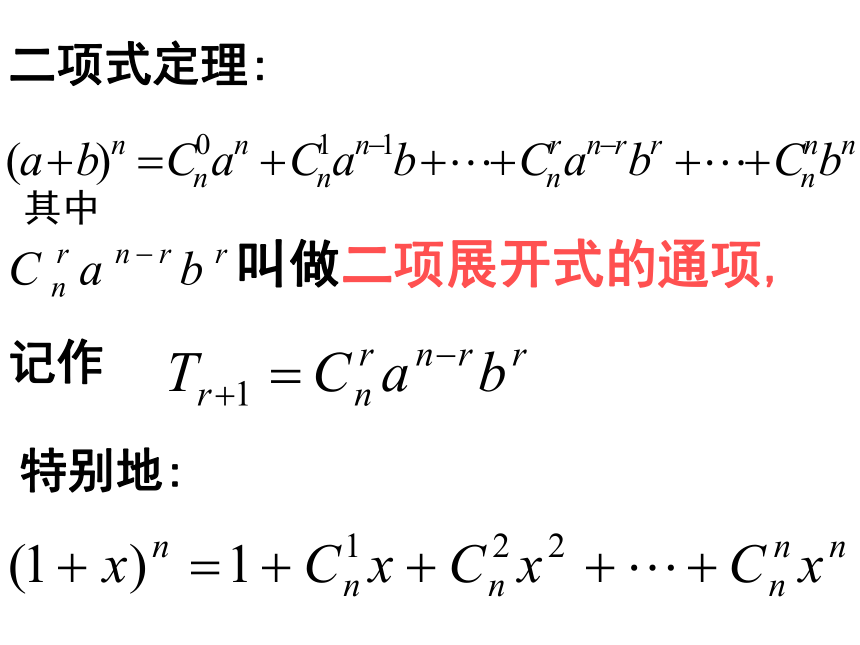 二项式定理(山东省荷泽地区)