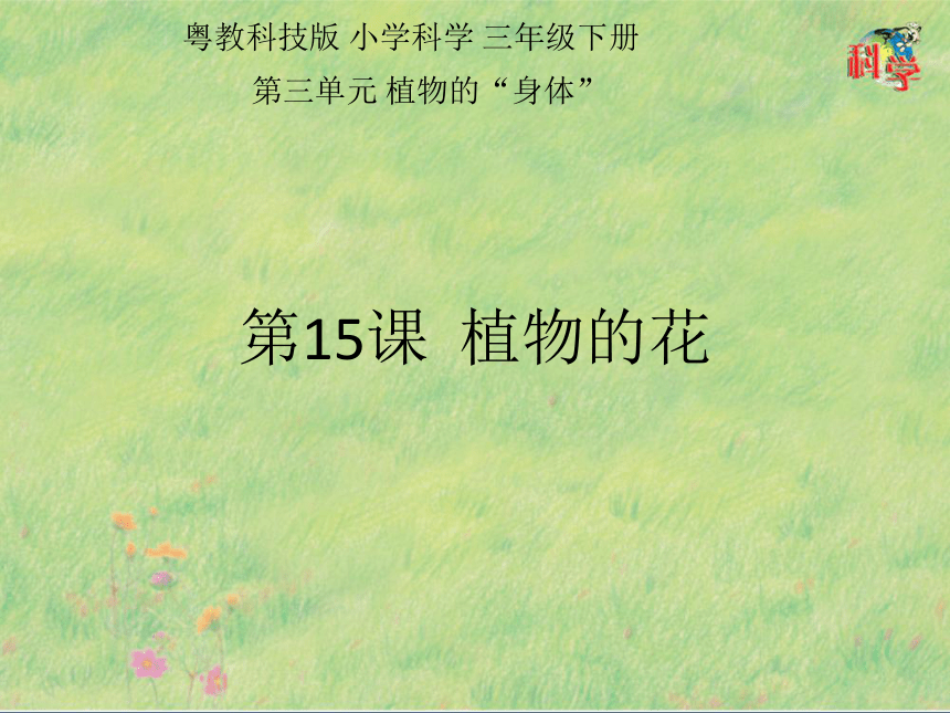 课件预览