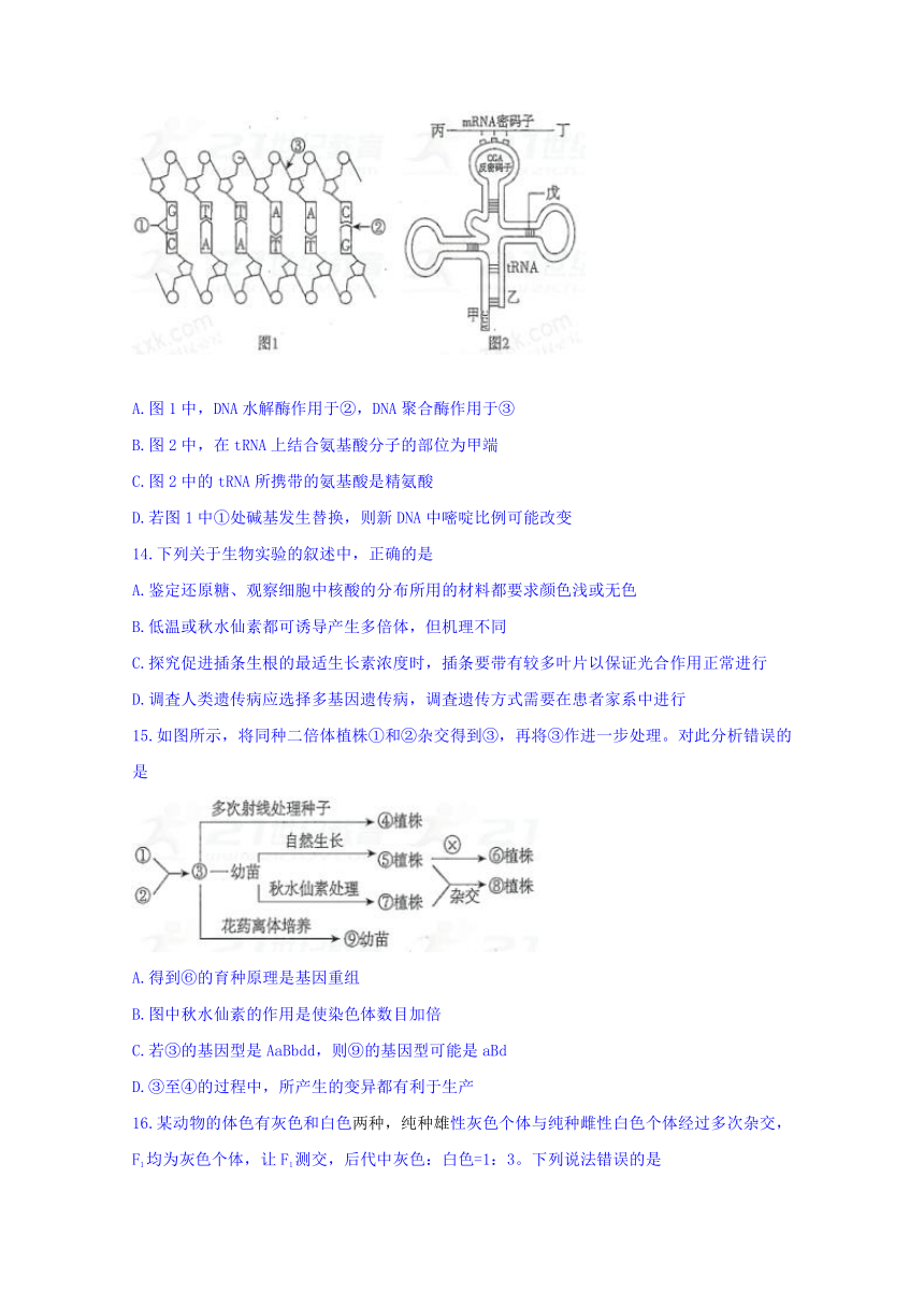 山西省晋城市2018年高三第一次模拟考试生物试题（无答案）