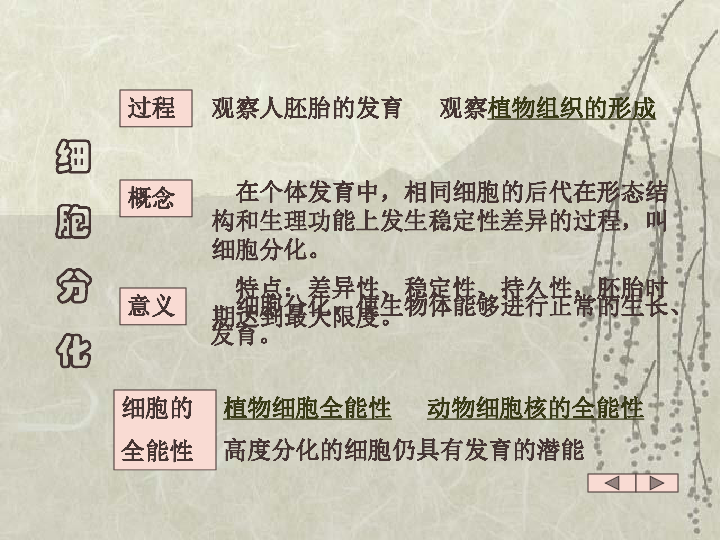 細胞的分化,衰老,癌變[上學期]下載-生物-21世紀教育網