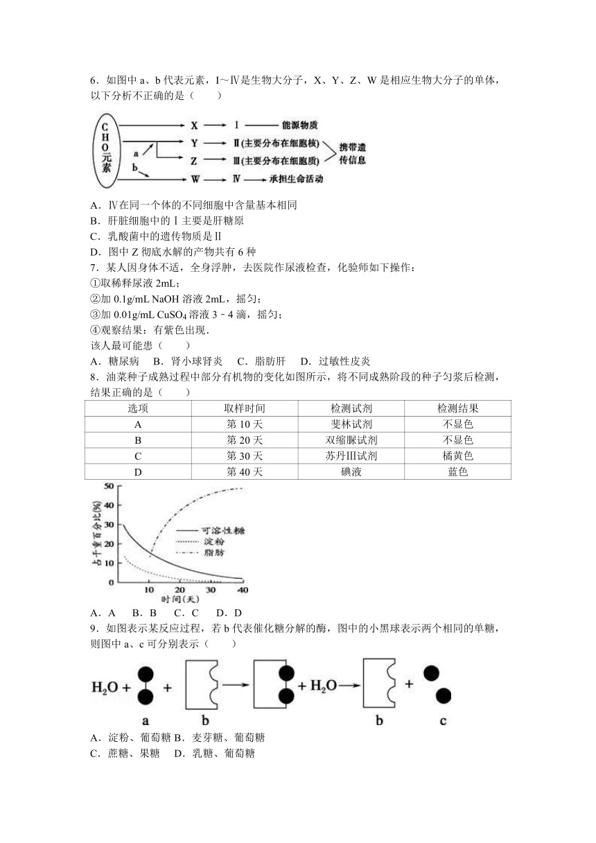 安徽省淮南二中2016-2017学年高一（上）月考生物试卷（平行班）（12月份）（解析版）