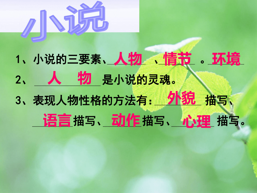 10《我的叔叔于勒》课件