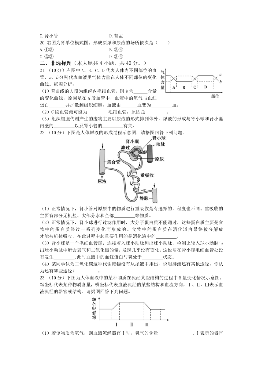 【中学教材全解】2014年 七年级生物下册（人教版）第四单元 第五章《人体内废物的排出》检测题