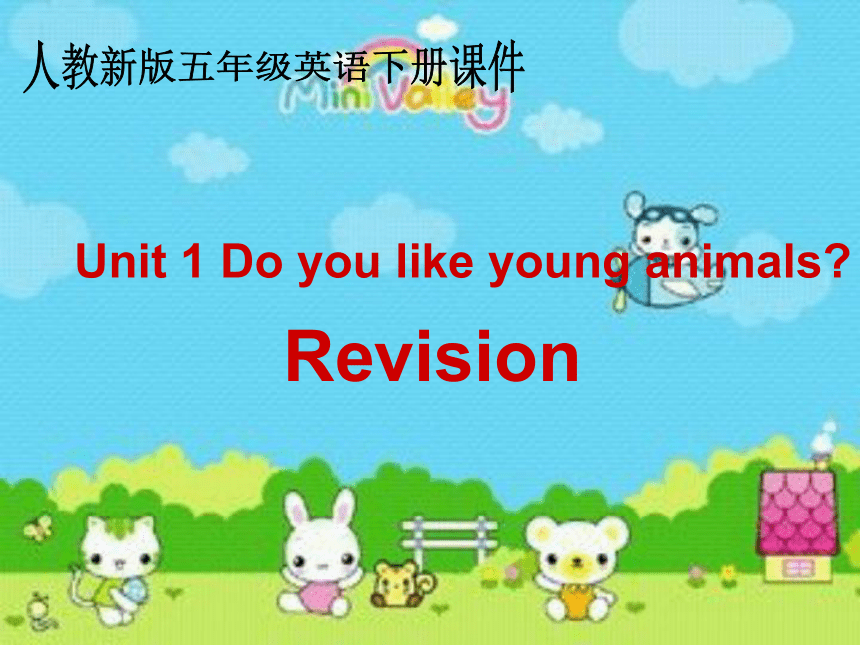 Unit1 Do you like young animals Revision