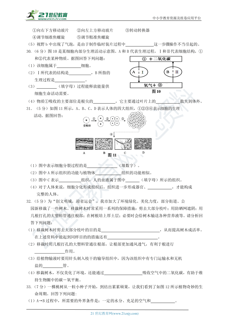 【备战期考】人教版七年级上册生物期末质量检测试卷3（含答案）