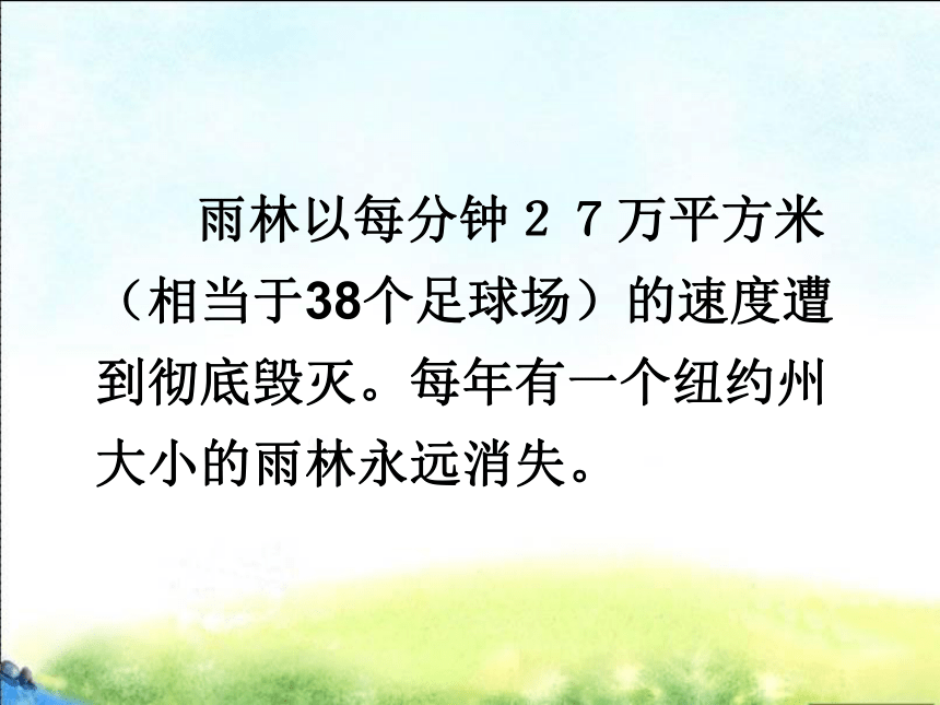 语文版八年级上第四单元15《雨林的毁灭——世界性灾难》课件(47张)