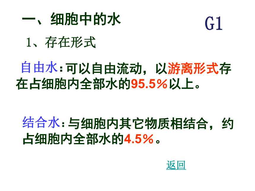 广东省江门市第一中学人教版高一生物必修一 2.5 细胞中的无机物 （共22张PPT）
