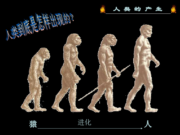 第1课中国早期人类的代表北京人课件共28张ppt
