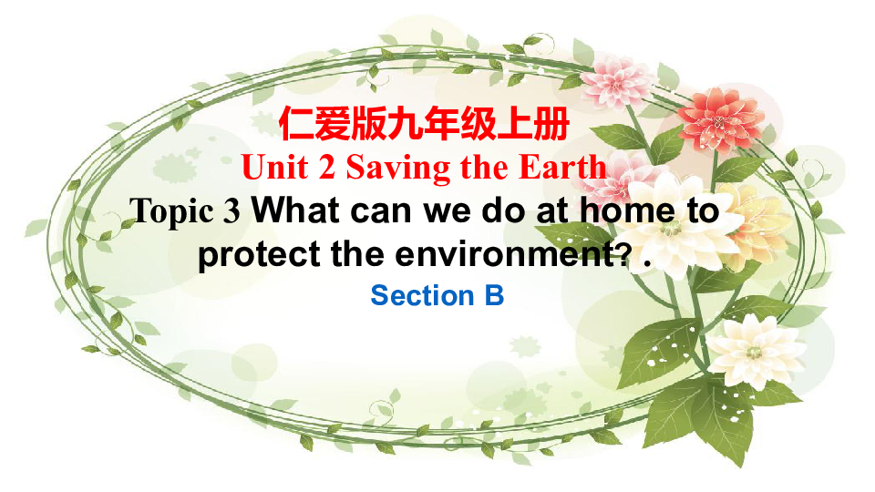 Topic 3 What  can we do to protect the environment? SectionB 教学课件40张PPT