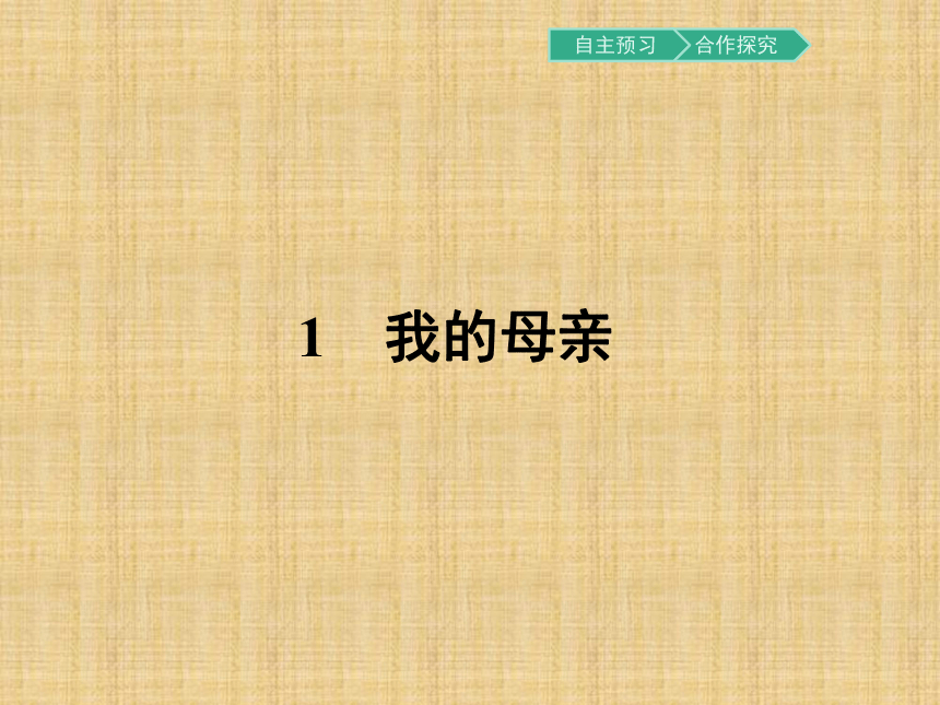 粤教版语文必修2同步教学课件：1 我的母亲