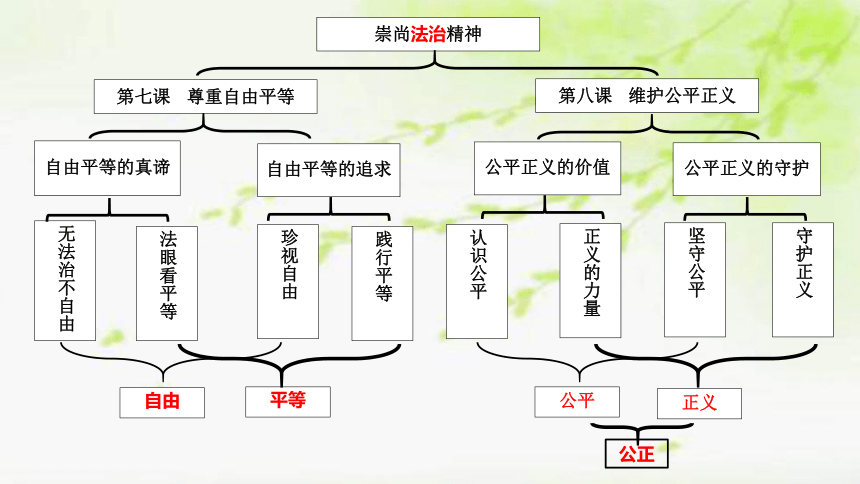 2021年中考道德与法治总复习课件  八下第四单元《崇尚法治精神》