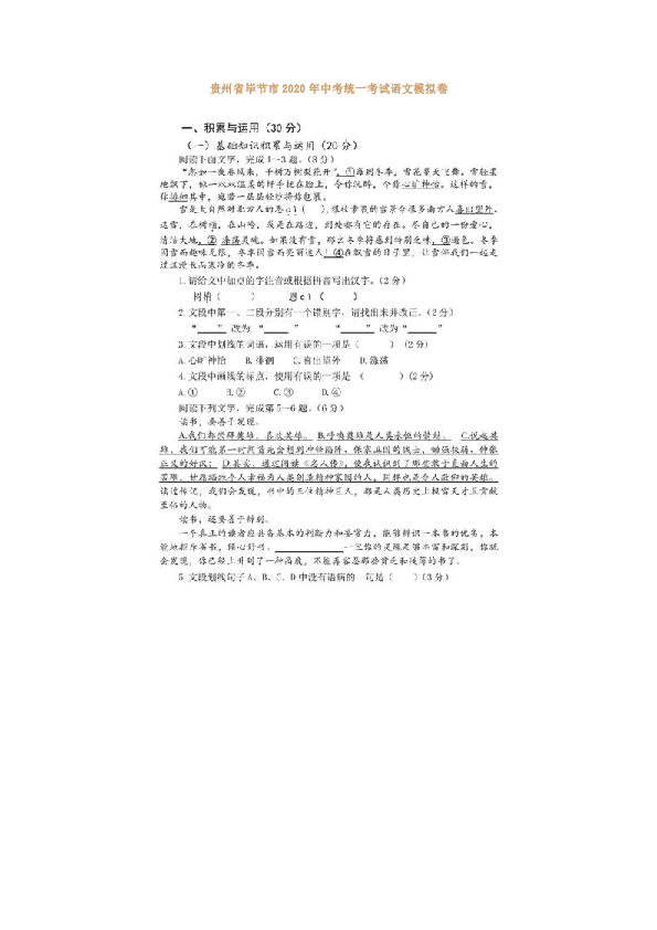 贵州省毕节市2020年中考统一考试语文模拟卷（图片版，含答案）