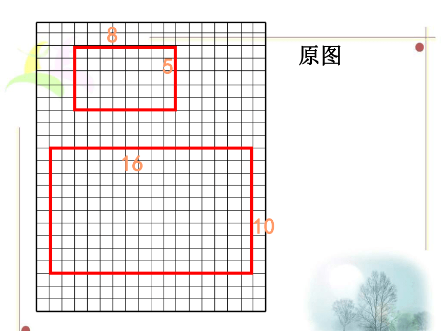 数学六年级上浙教版1.4图形的放大与缩小课件(31张)