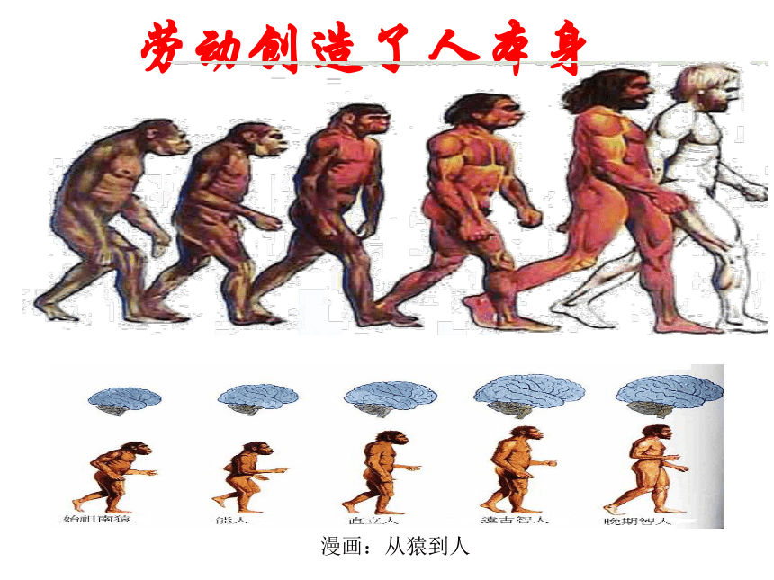 人教部编版七年级上册历史课件第1课中国境内早期人类的代表—北京人  (共34张PPT)