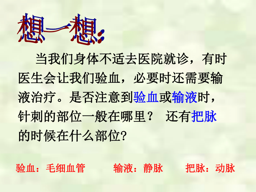 人教版七年级下册生物4.4.2血流的管道——血管 课件(共31张PPT)