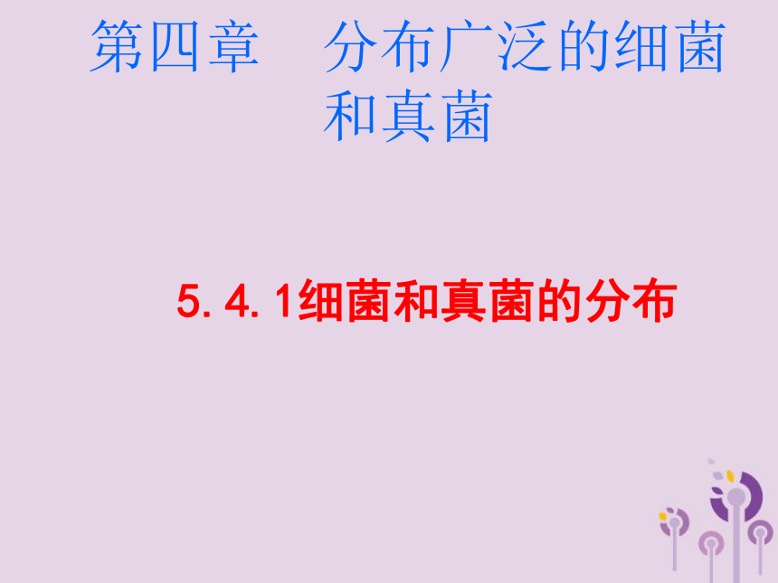 八年级生物上册5.4.1细菌和真菌的分布课件（22张PPT）