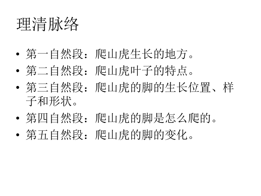 6 爬山虎的脚课件