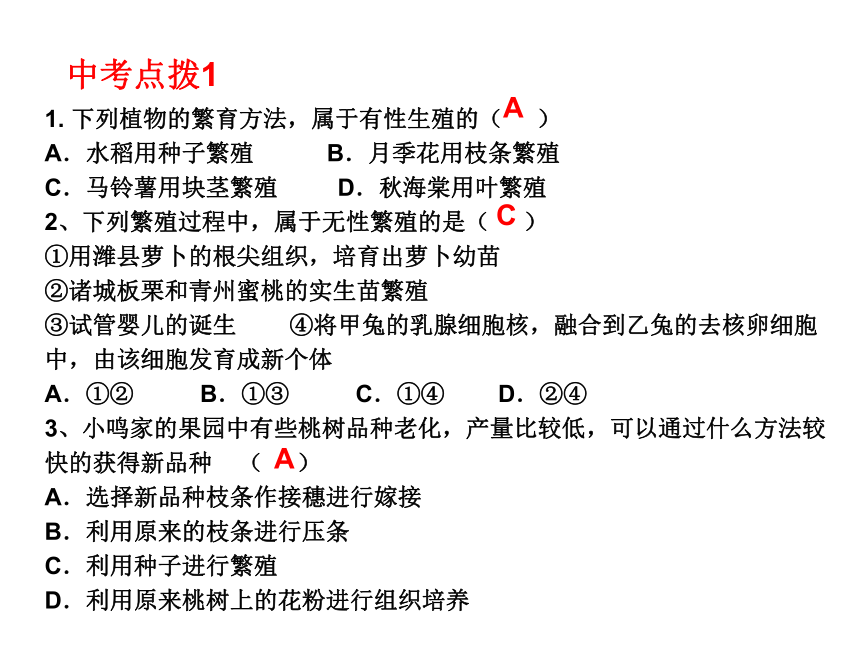 八年级下册生物第一章生物的生殖和发育 复习课件（共30张ppt）