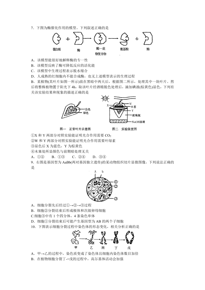 山东省临沂市2013届高三3月教学质量检测考试（一模）生物试题（无答案）