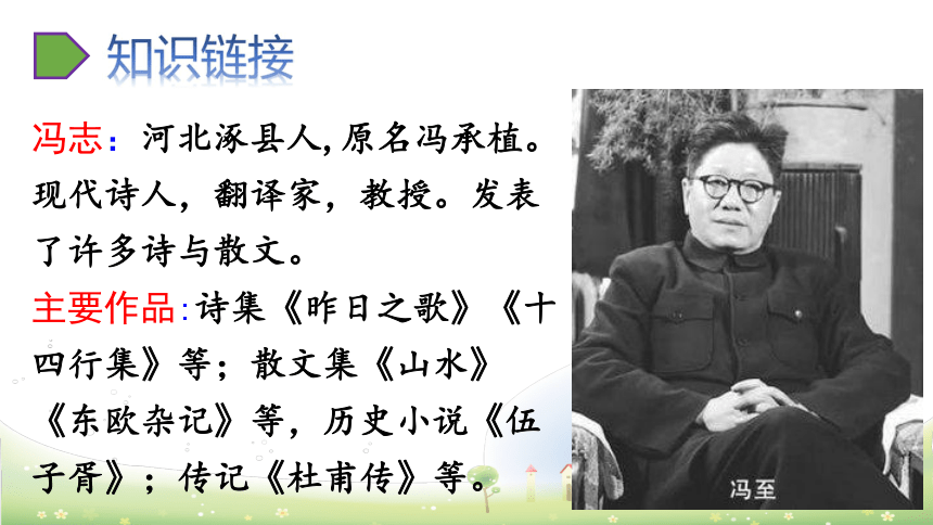 16. 表里的生物   课件（共49张PPT）