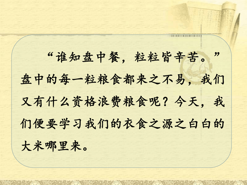 37我們的衣食之源課件共29張ppt