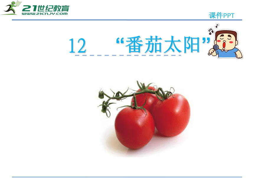 12番茄太阳 课件