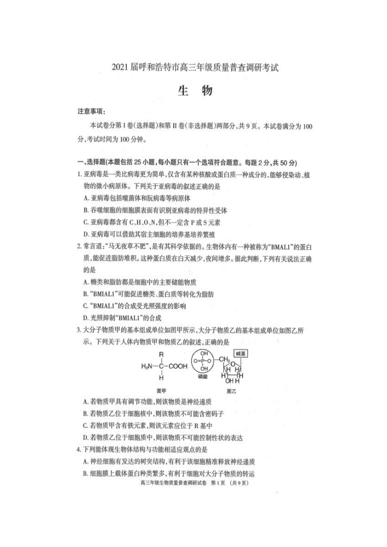 内蒙古呼和浩特市2021届高三上学期质量普查调研考试生物试卷 扫描版含答案