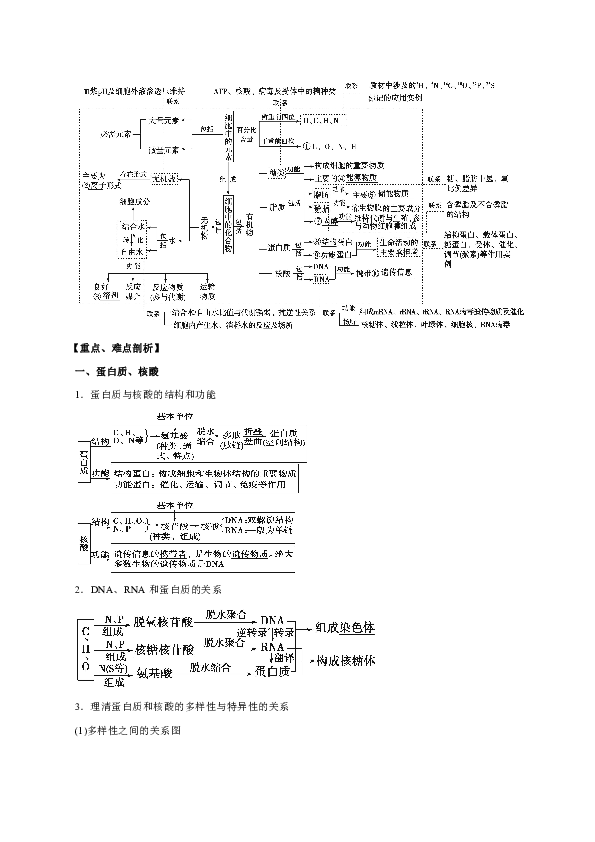 2019届二轮复习细胞的分子组成 教案（全国通用）