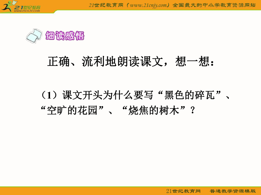 四年级语文上册课件 夜莺的歌声 2（鲁教版）