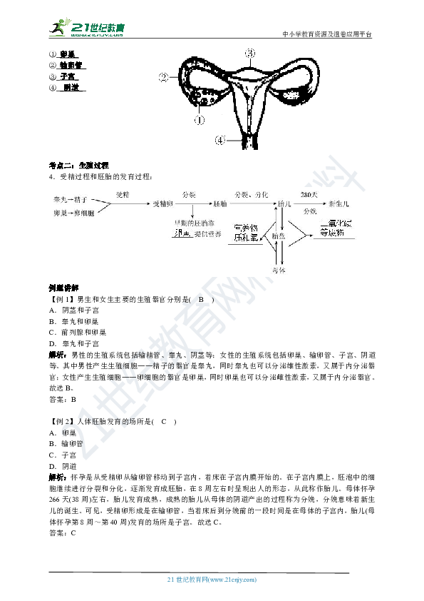 【中考一轮】初中生物考点全面复习专题汇编专题九：生物的生殖和发育（七部分）