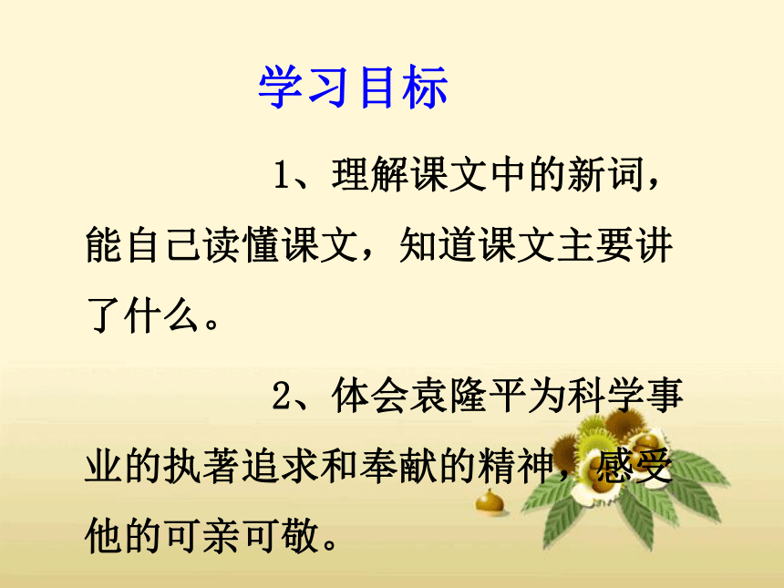 西师大版三年级下册语文：35.杂交水稻之父  名优课件