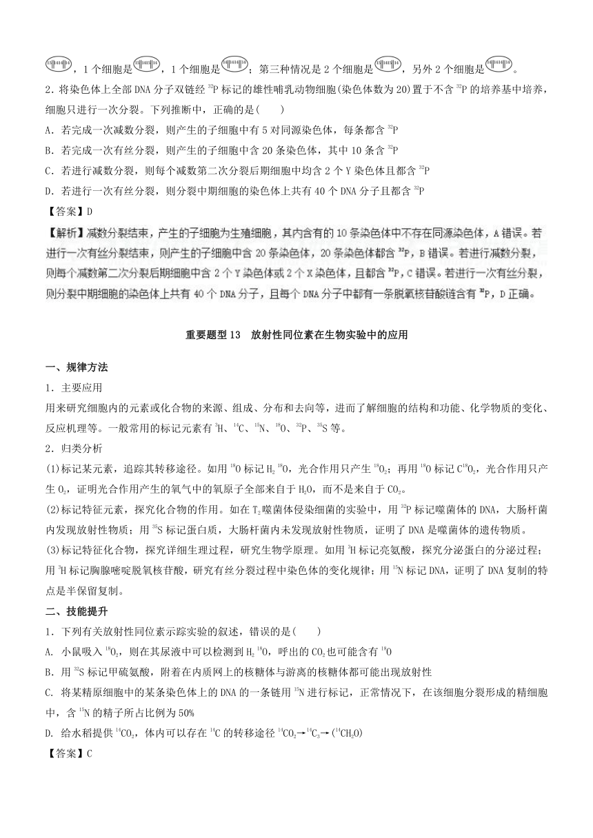 2018提分冲刺高考生物二轮专题复习之重要题型专题06+遗传的分子基础之重要题型