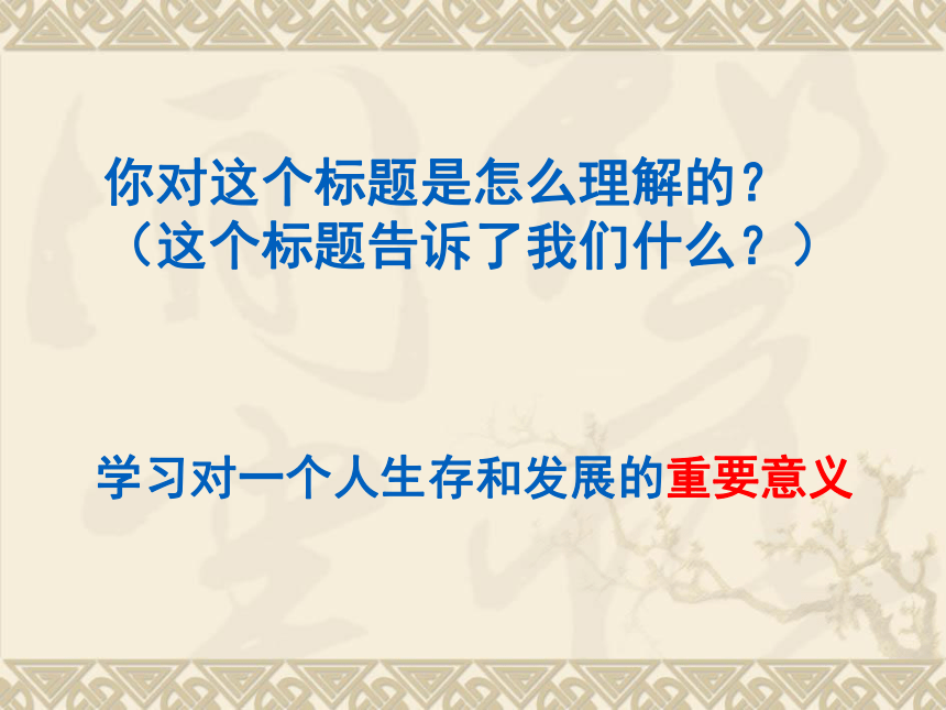 学习——成才的阶梯