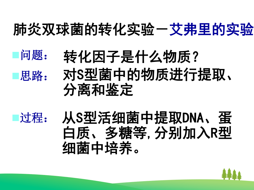 吉林省辽源普高 必修2 第三章第1节DNA是主要的遗传物质 课件（21张）