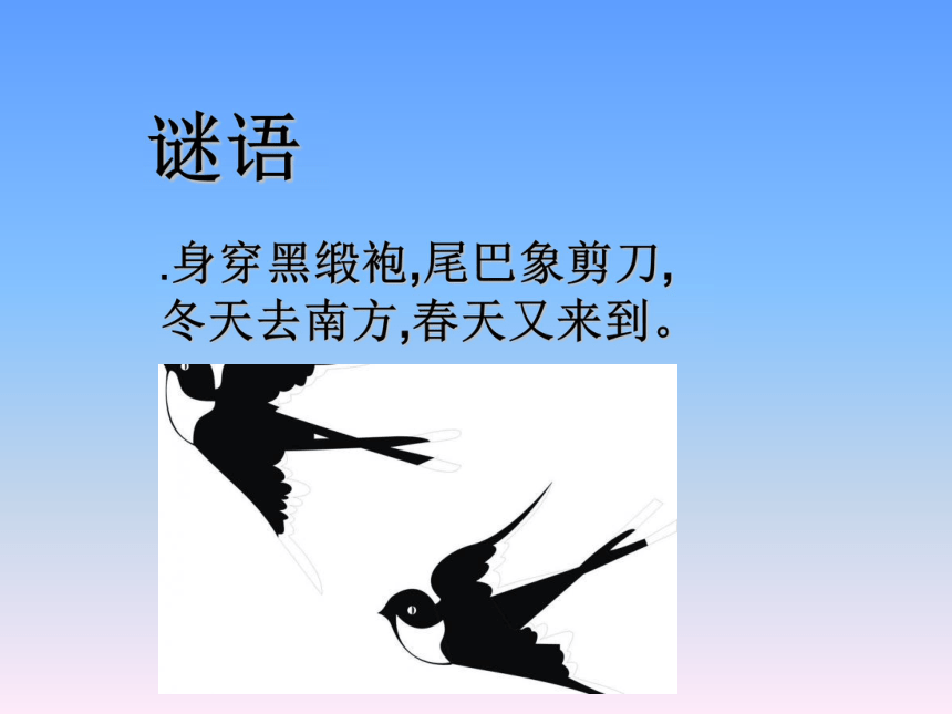 三年级下语文课件-习作六 谈谈自己的看法1_苏教版