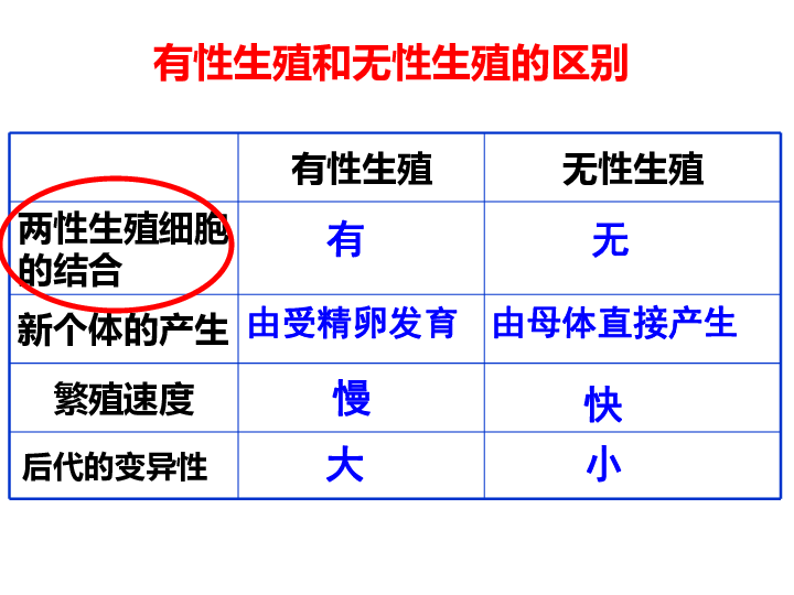 人教八下生物第一章生物的生殖和发育复习课件（共33张PPT）