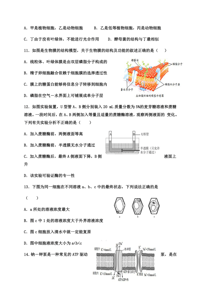甘肃省武威市民勤县第四中学2020-2021学年高二上学期期末考试（普通班）生物试题