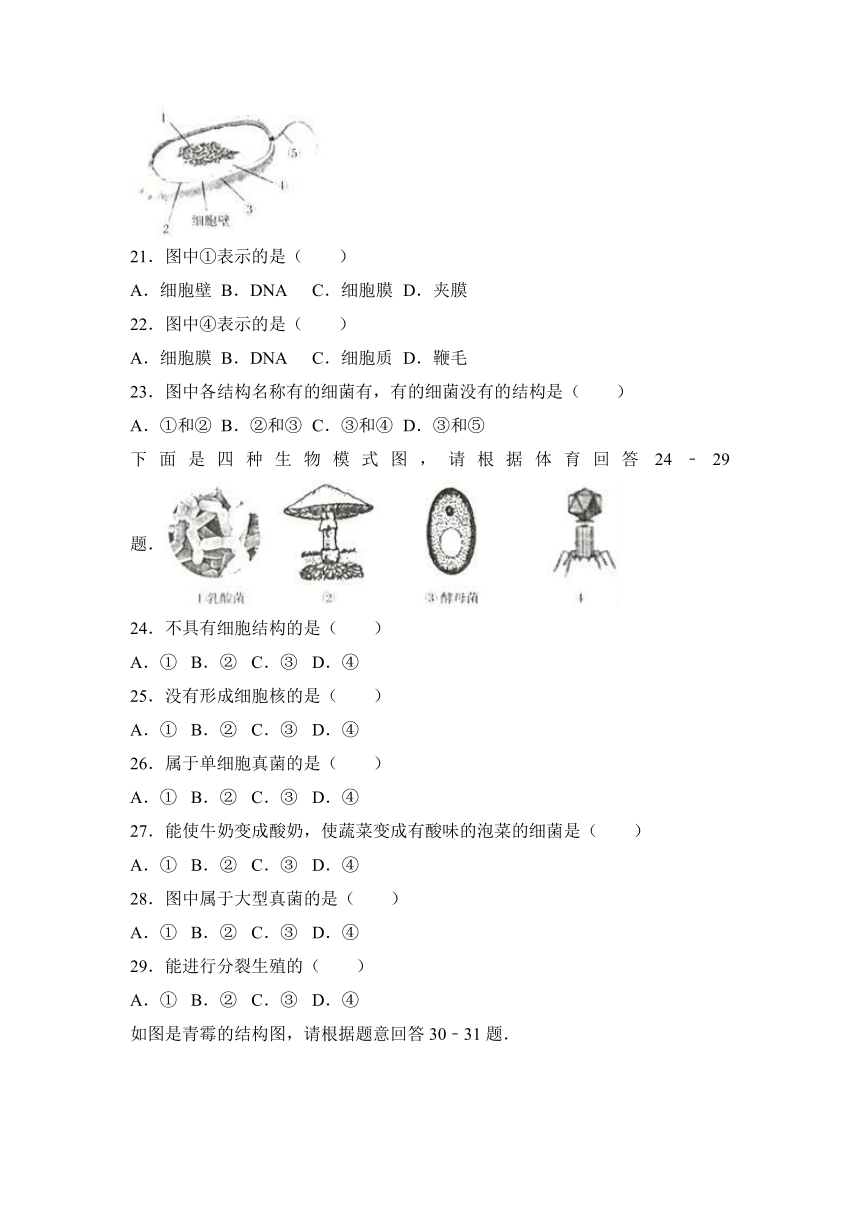 吉林省长春市汽车经济技术开发区2016-2017学年八年级（上）期末生物试卷（解析版）