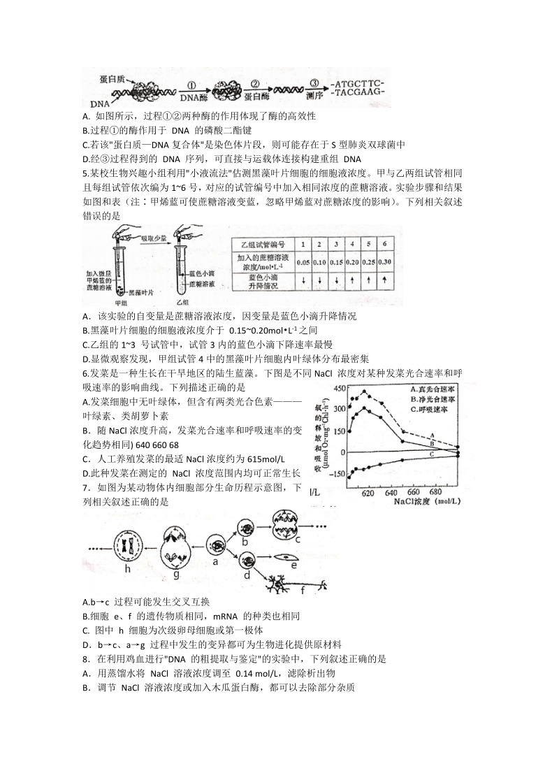 天津市河西区2021届高三第一学期期末质量调查生物试卷 含答案