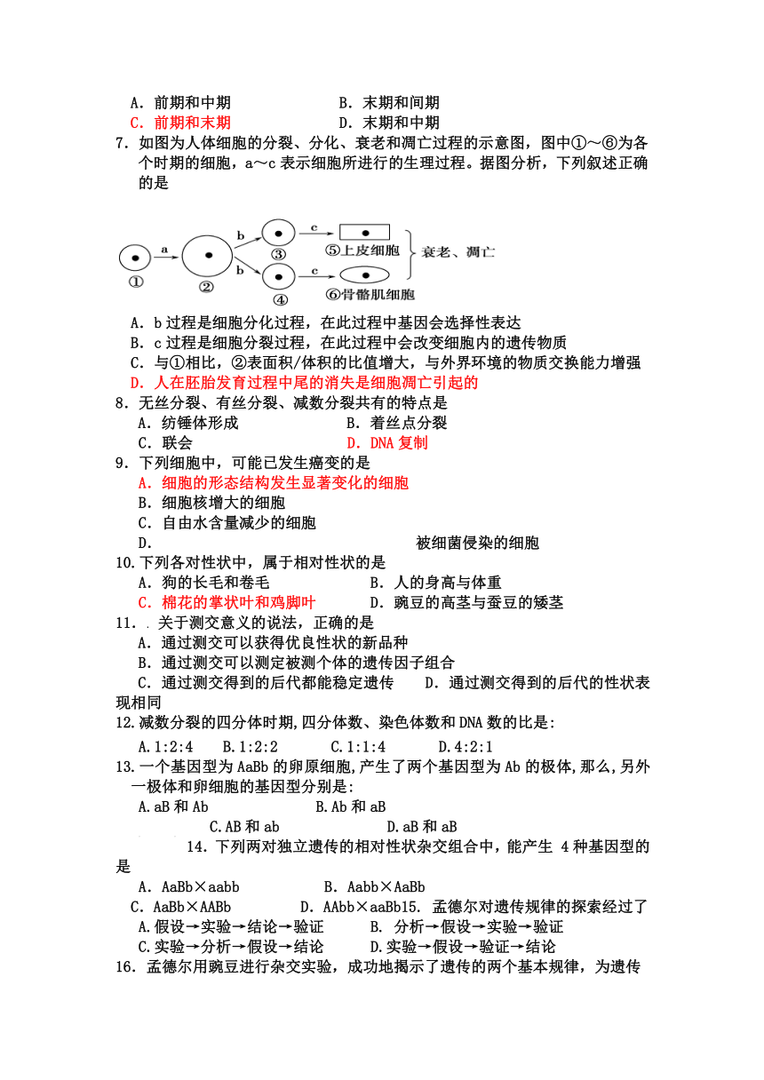 广东省惠阳高级中学2016-2017学年高一下学期期中考试生物试卷