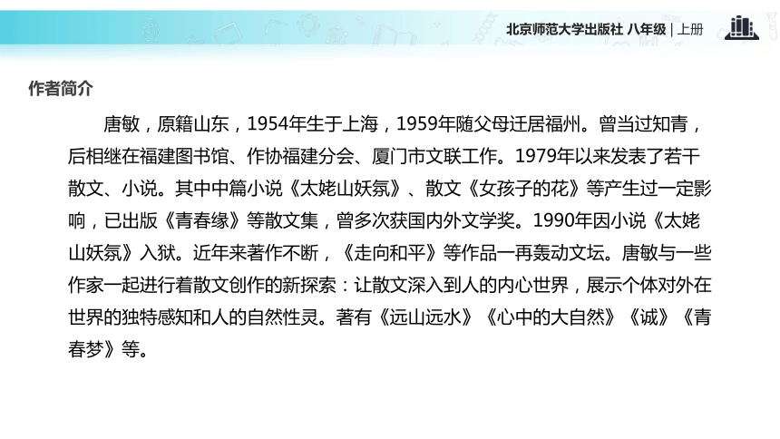 《云海》 课件