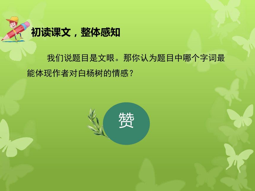 15《白杨礼赞》课件（25张PPT)